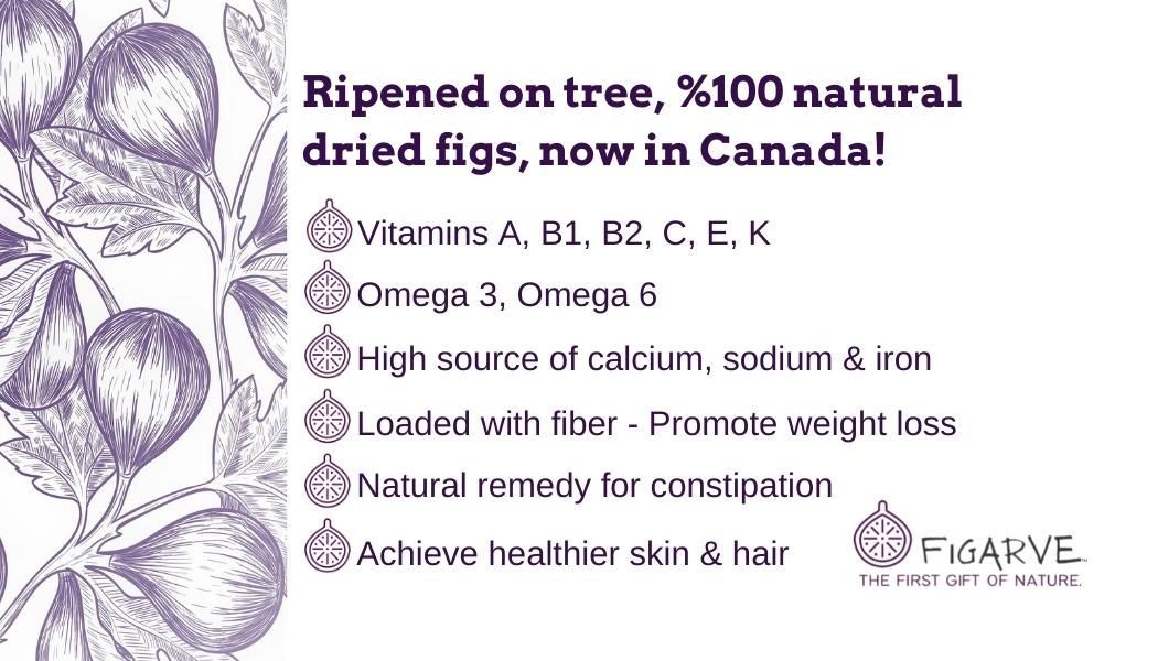 Business card back: a purple fig illustration beside the line Ripened on tree, 100 percent natural dried figs, now in Canada, and a list of benefits: vitamins, omega 3 and 6, calcium, sodium and iron, fibre, a natural remedy and healthier skin and hair, with the Figarve logo.