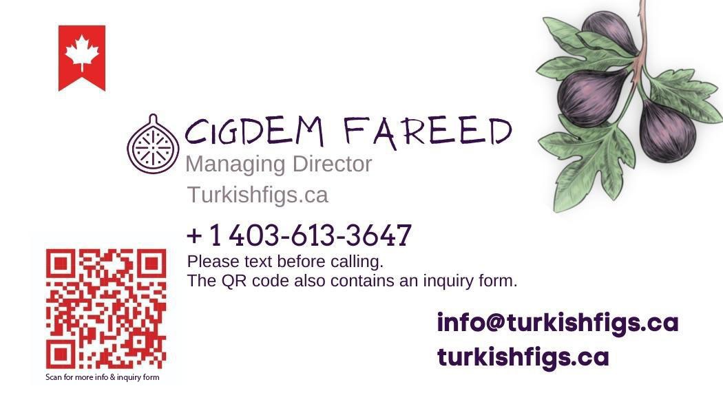 Business card front: a red maple leaf ribbon, the name Cigdem Fareed, Managing Director, turkishfigs.ca, a phone number, a QR code for the inquiry form, two email and web addresses and a fig branch illustration.